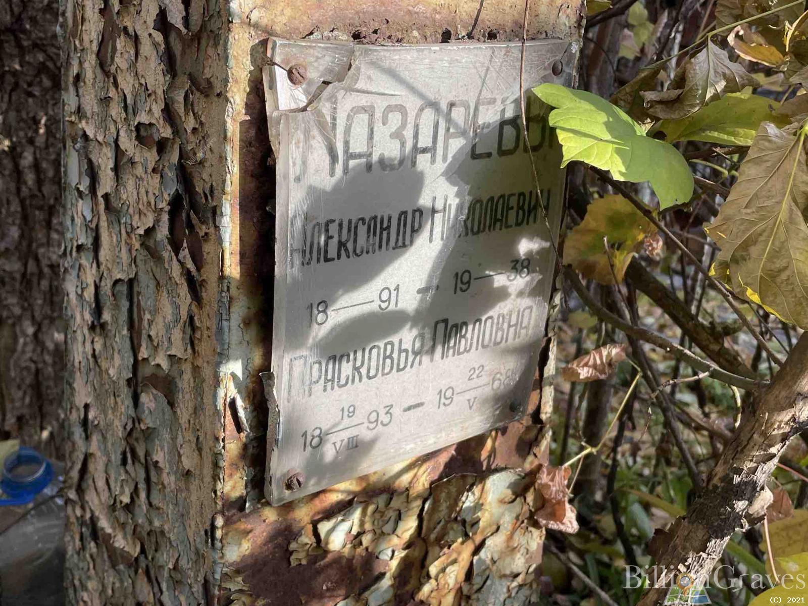 Лазарева Прасковья Павловна