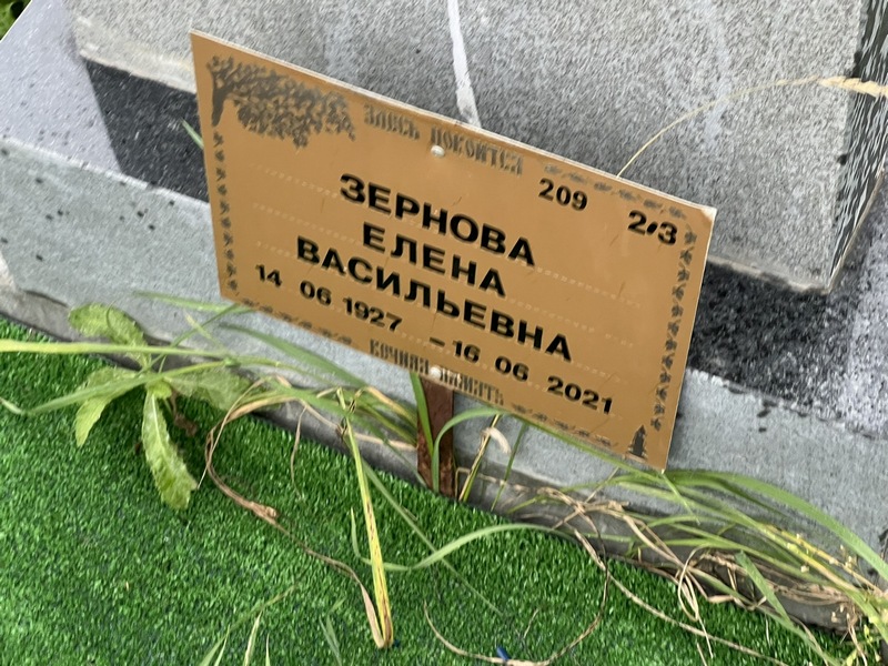 Зернова
