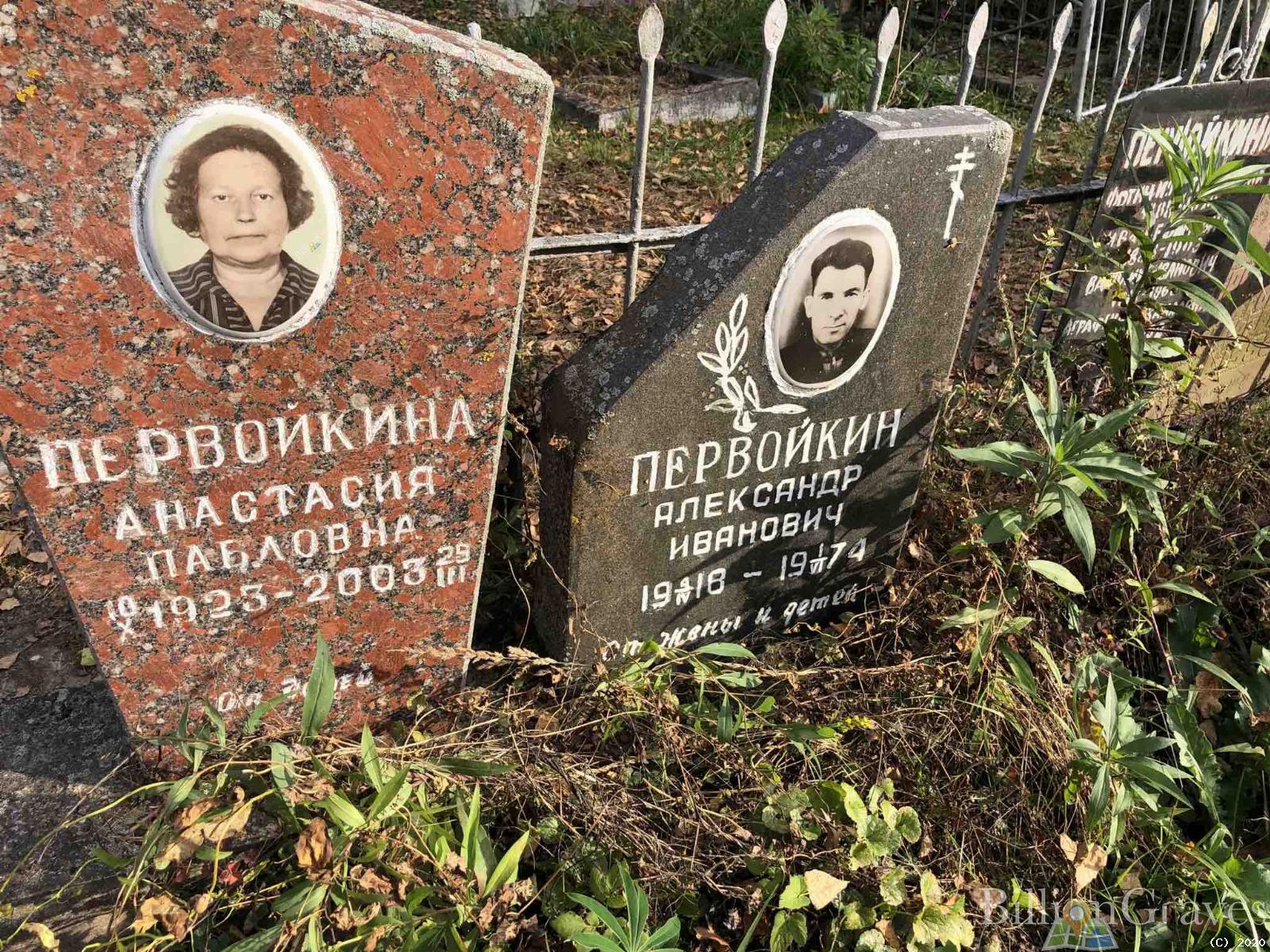 Первойкина Анастасия Павловна
