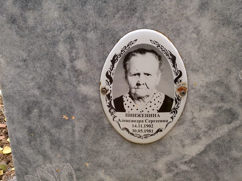 Пинженина Александра Сергеевна