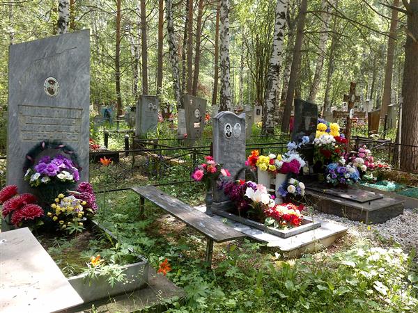 Вычегжанина Наталья Александровна