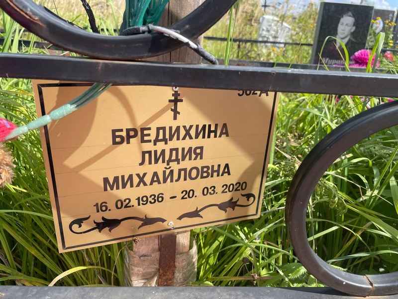 Бредихина