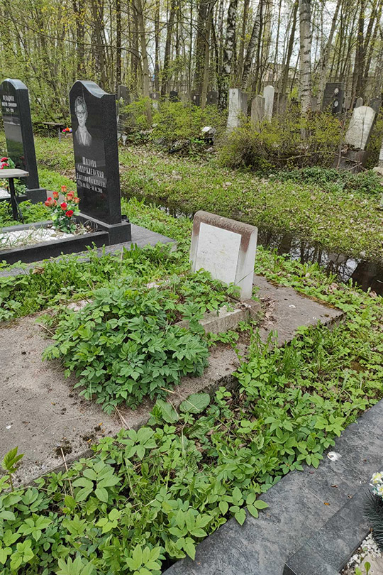 Громова Софья Николаевна