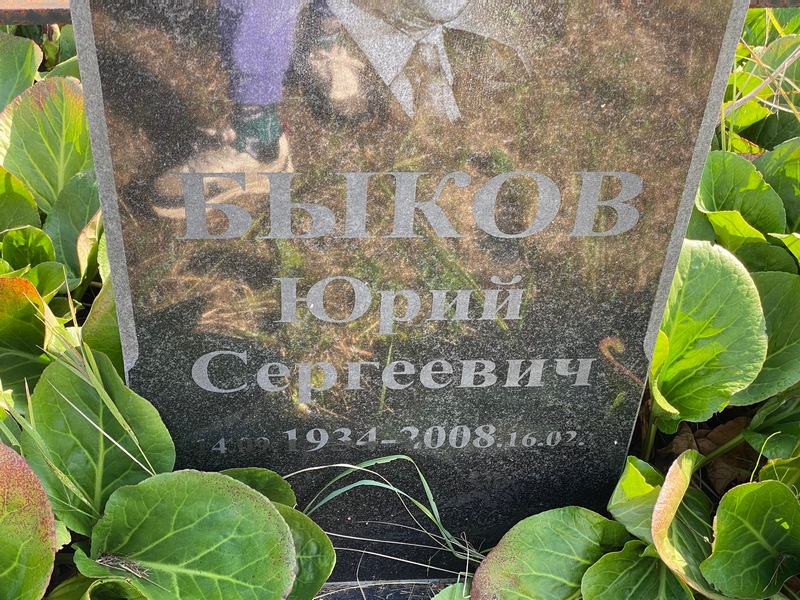 Быков