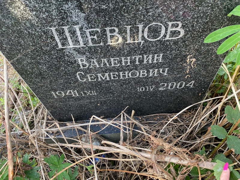 Шевцов