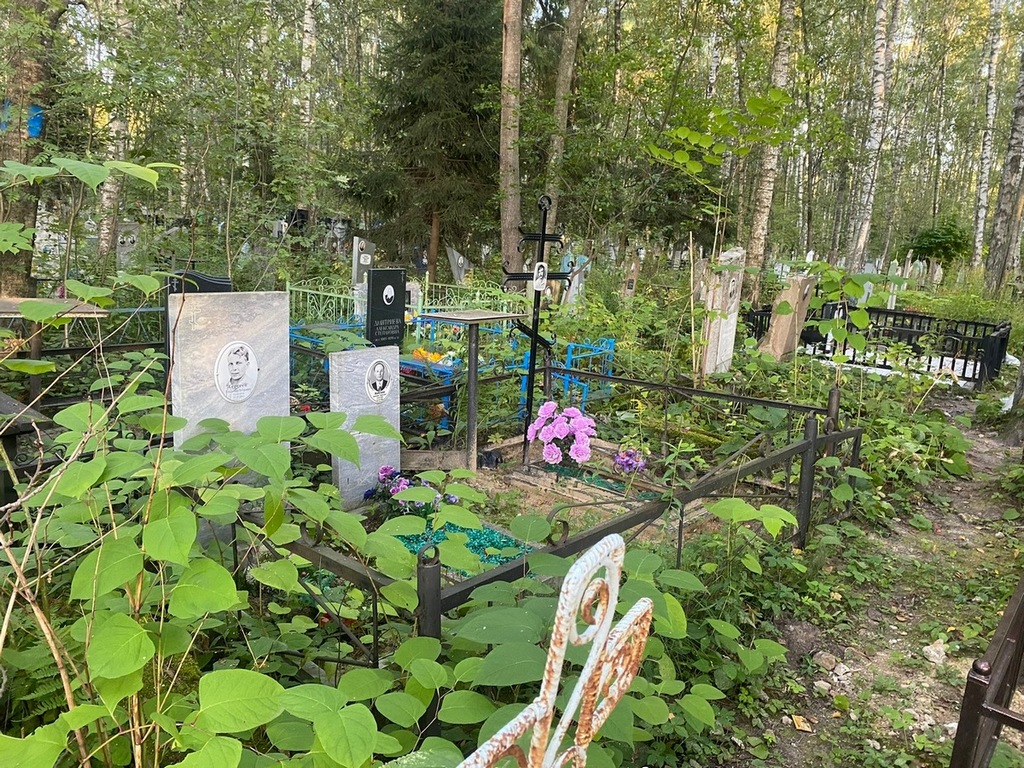 Воронцов Валерий Викторович