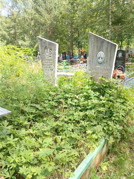 Сызранцева Валентина Александровна