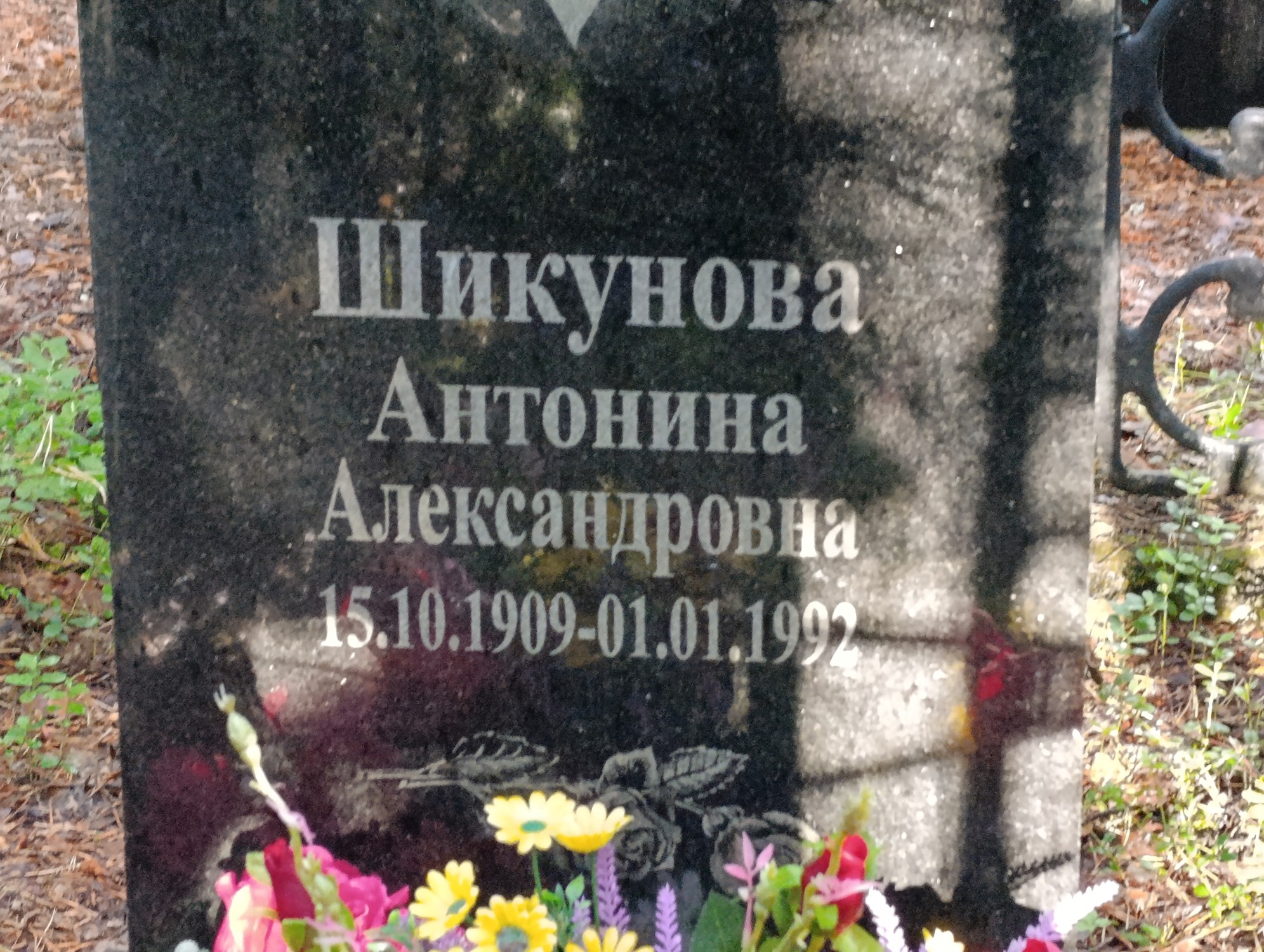 Шикунова Антонина Александровна