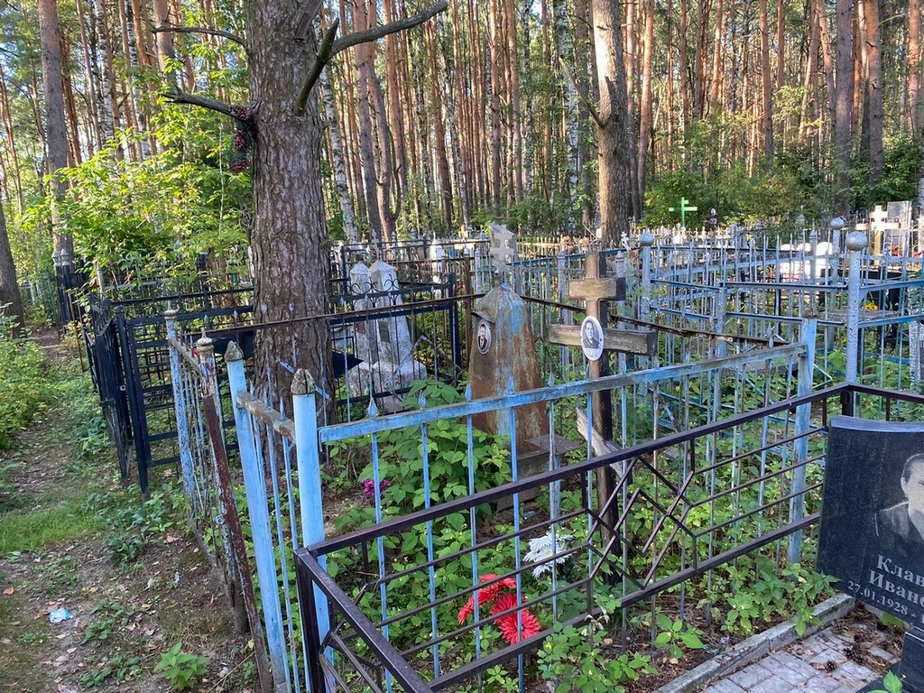 Андрюкова Екатерина Сергеевна
