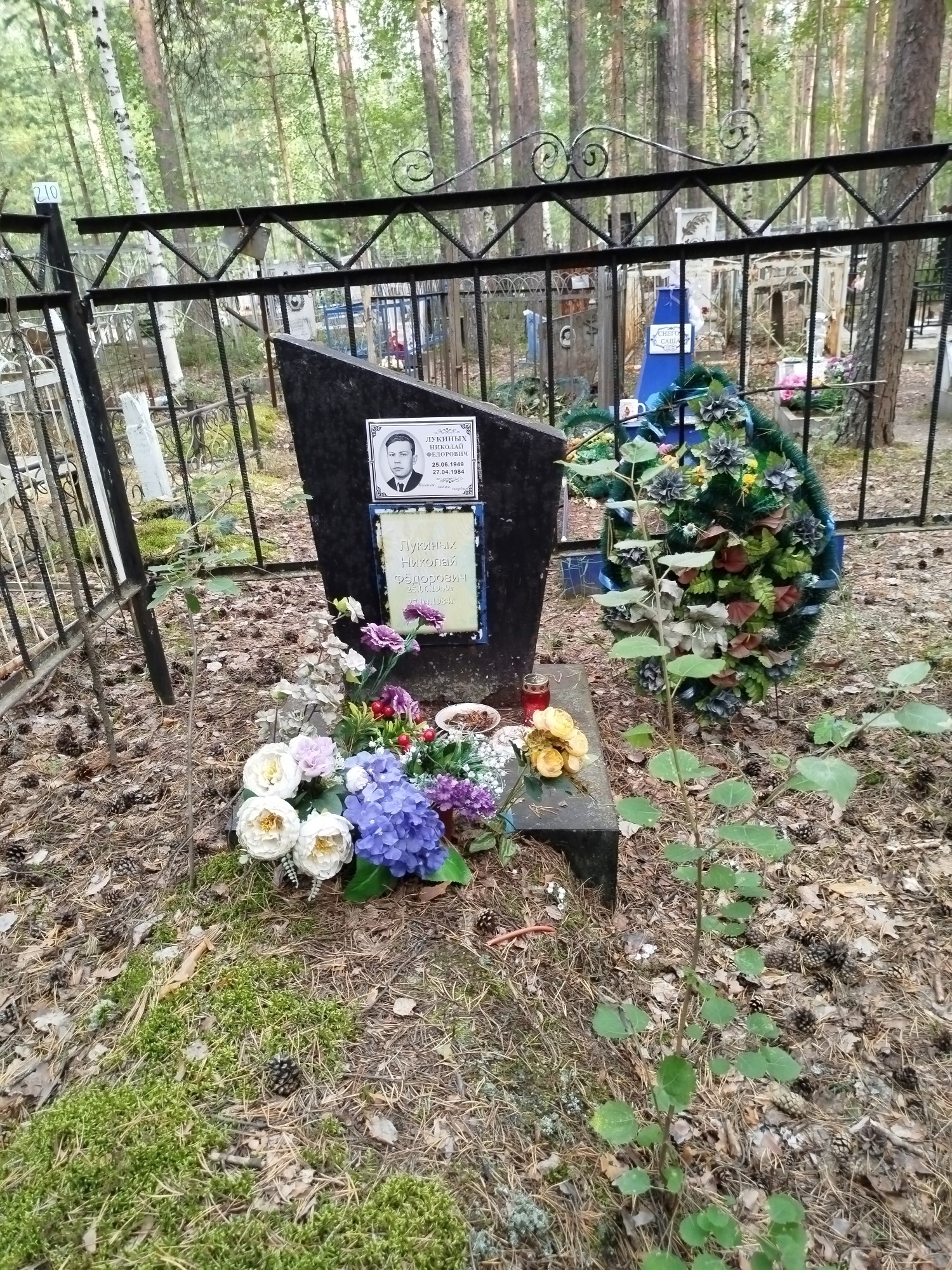 Лукиных Николай Федорович