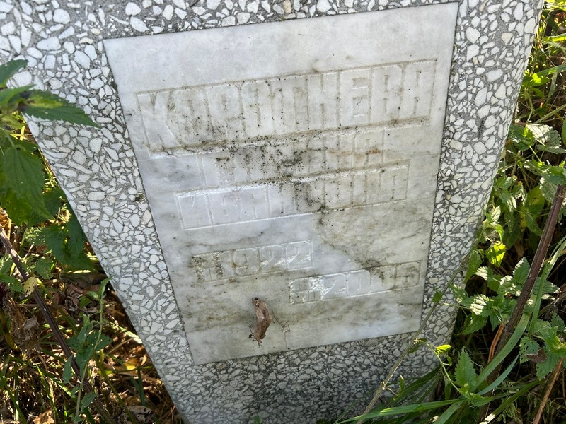 Коротнева