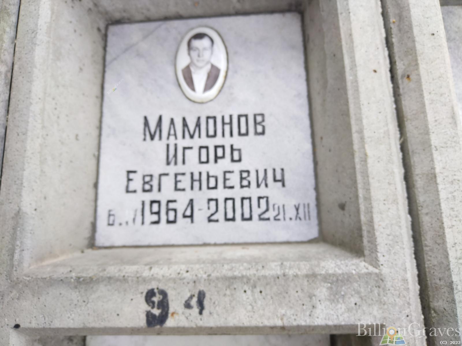 Мамонов Игорь Евгеньевич