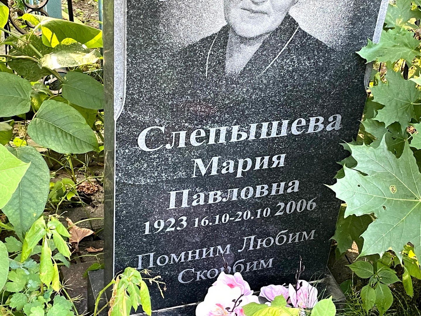 Слепышева