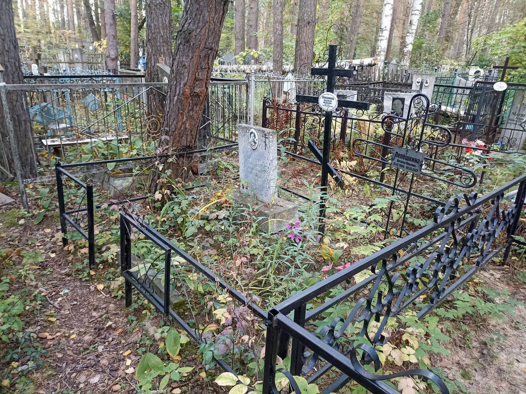 Лепешкина Наталья Юрьевна