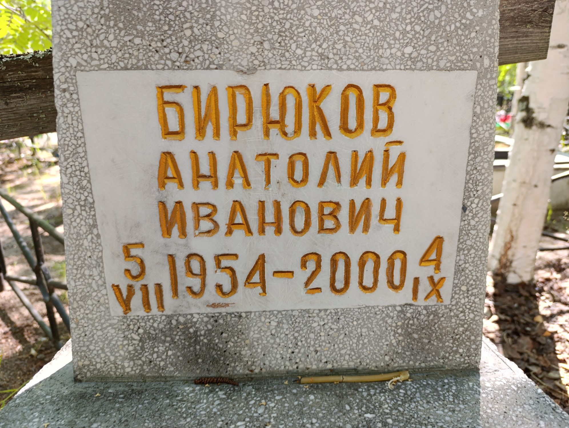 Бирюков Анатолий Иванович