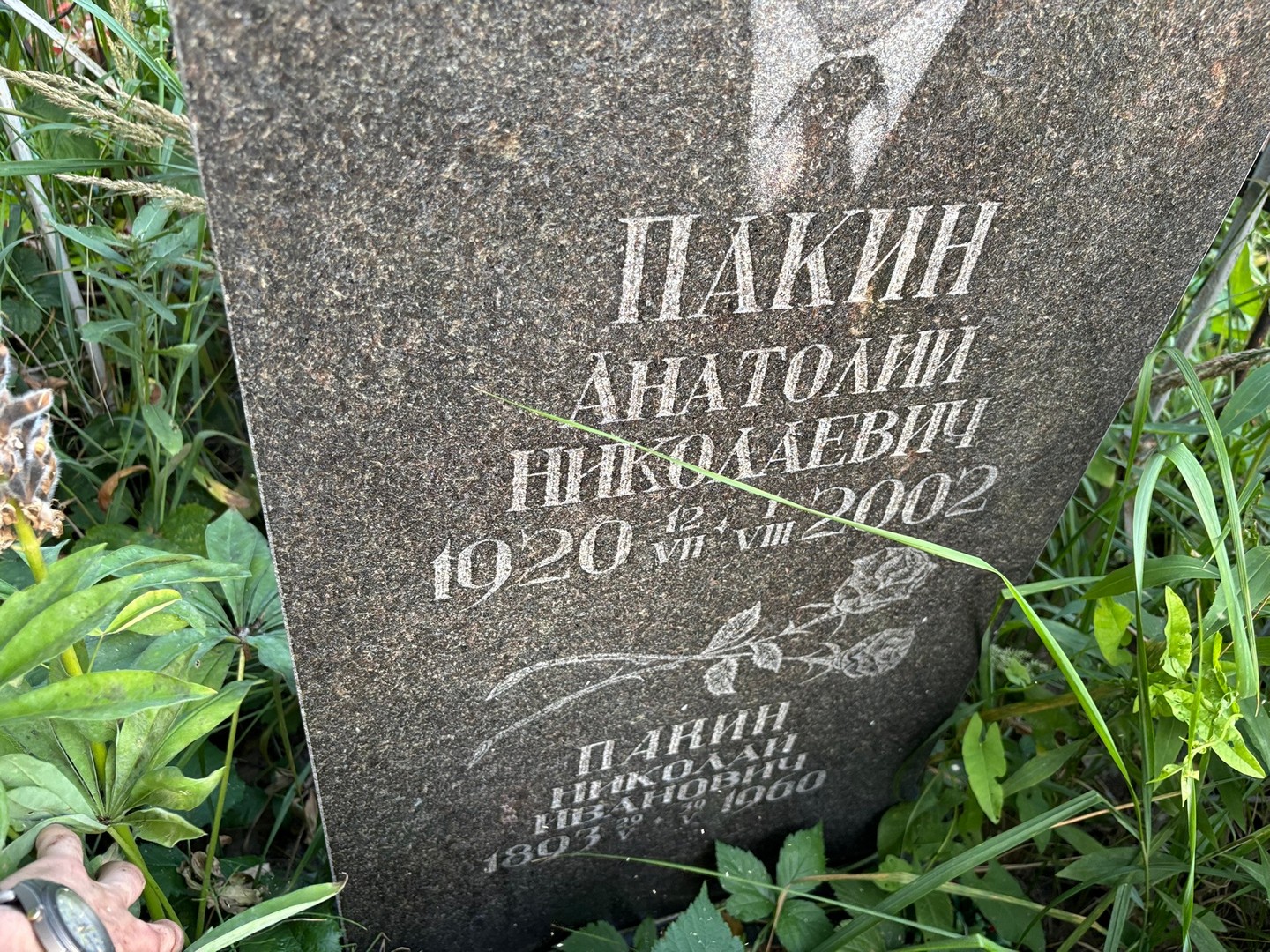Панин