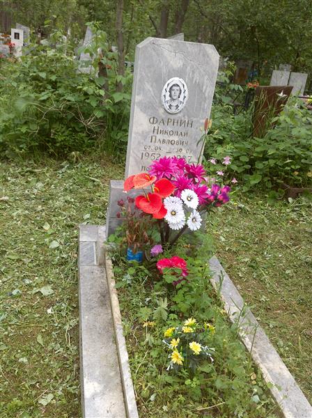 Фарнин Николай Павлович