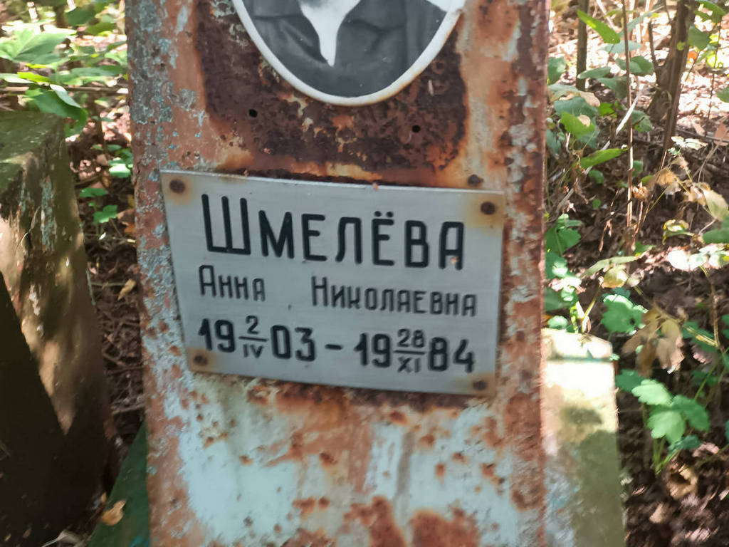 Шмелева Анна Николаевна