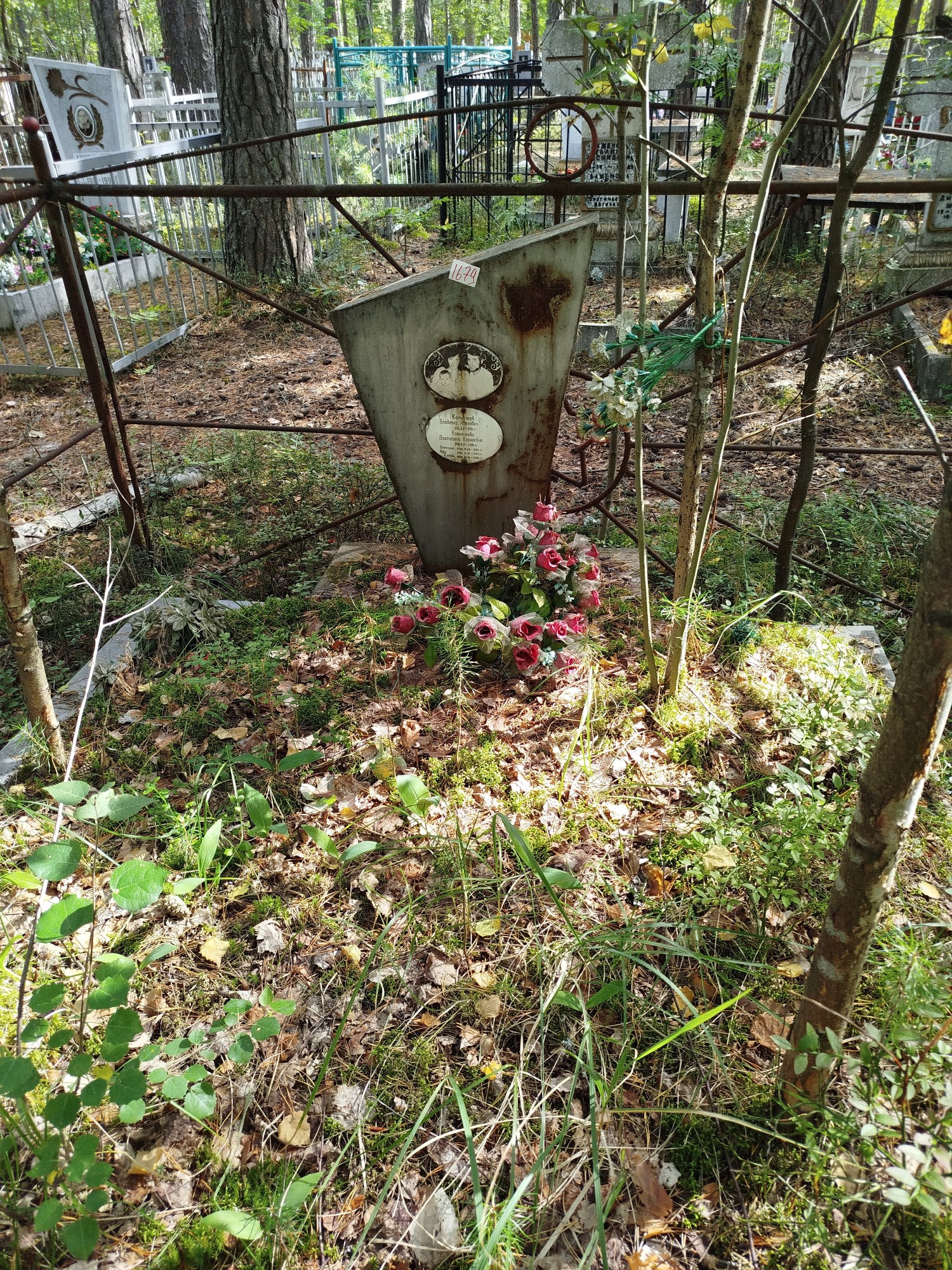 Котлячков Виталий
