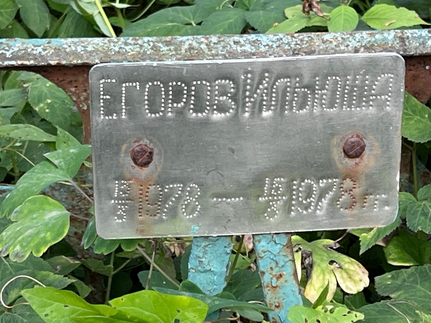 Егоров Егоров
