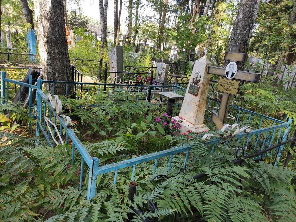 Толканов Вячеслав Михайлович