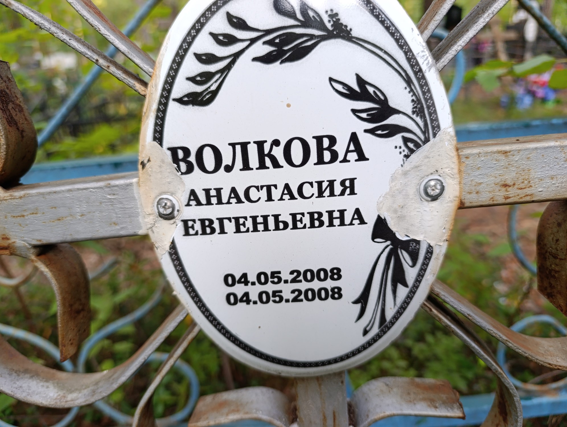 Волкова Анастасия Евгеньевна