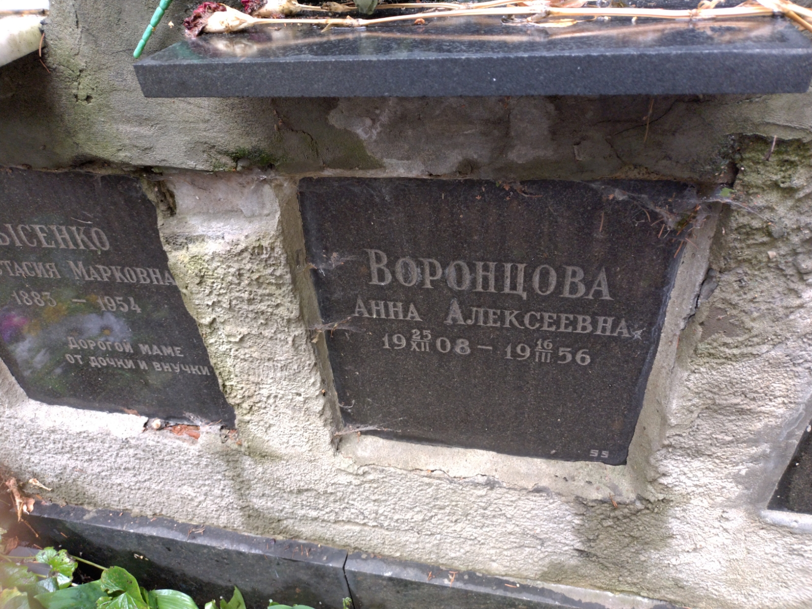 Воронцова Анна Алексеевна