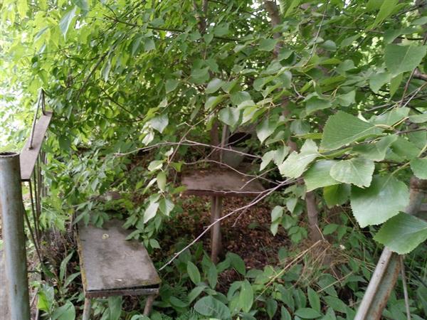 Кузницова В. И.