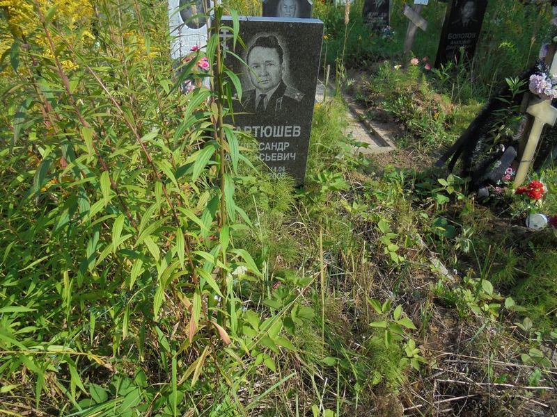 Мартюшев Александр Афанасьевич