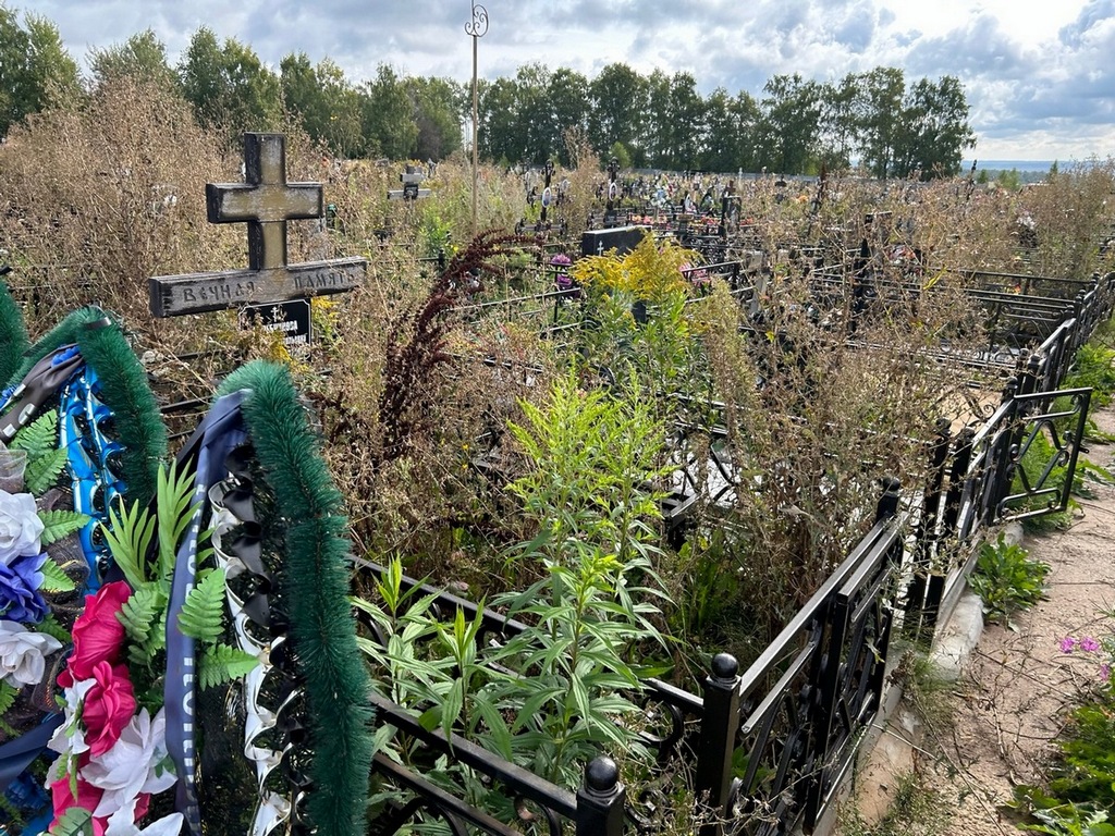 Жеребчикова Людмила Анатольевна