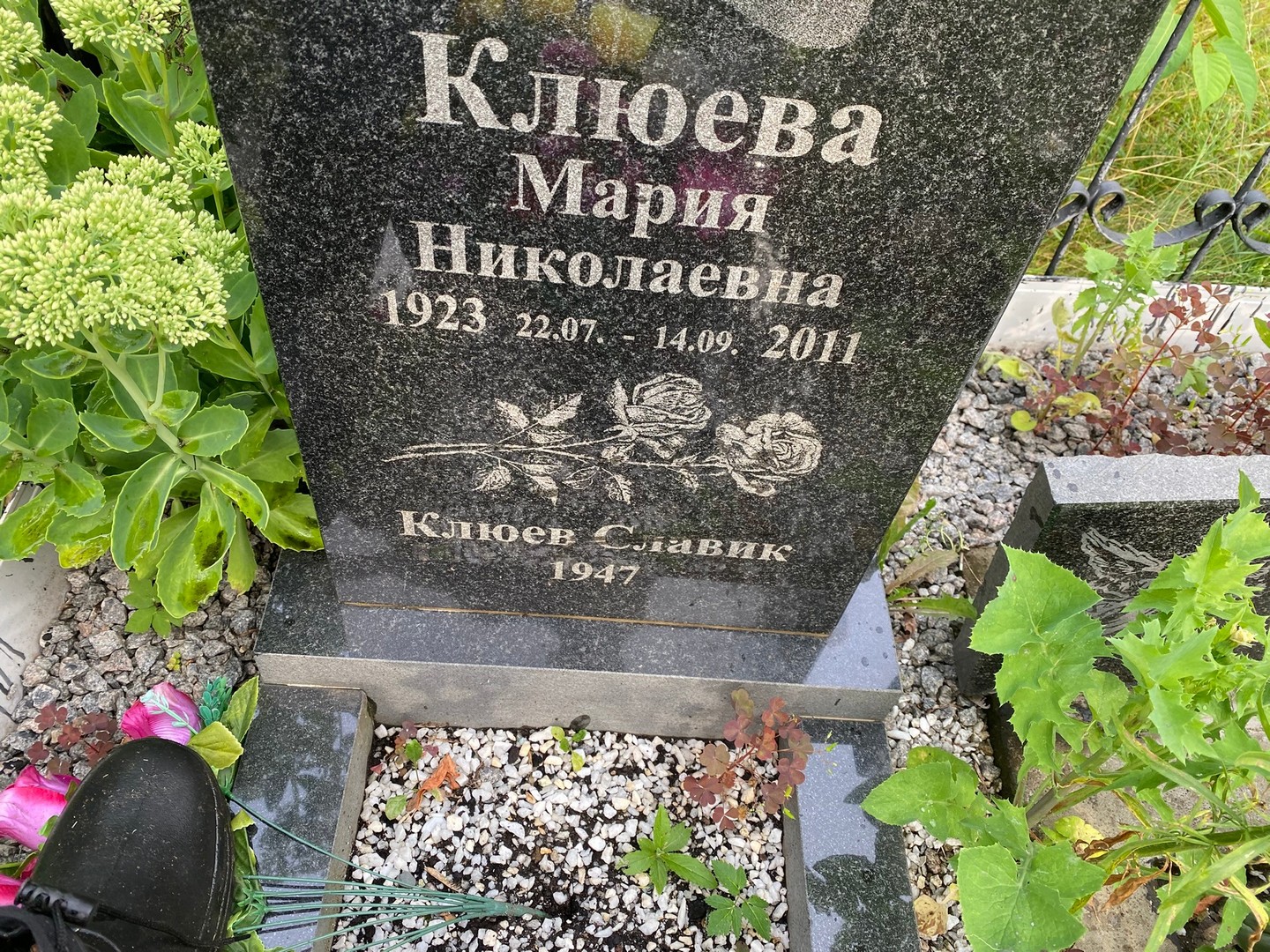 Клюева