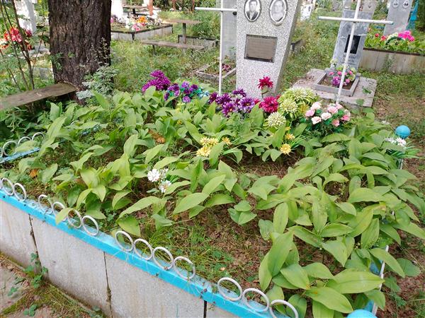 Поздняков Михаил Петрович