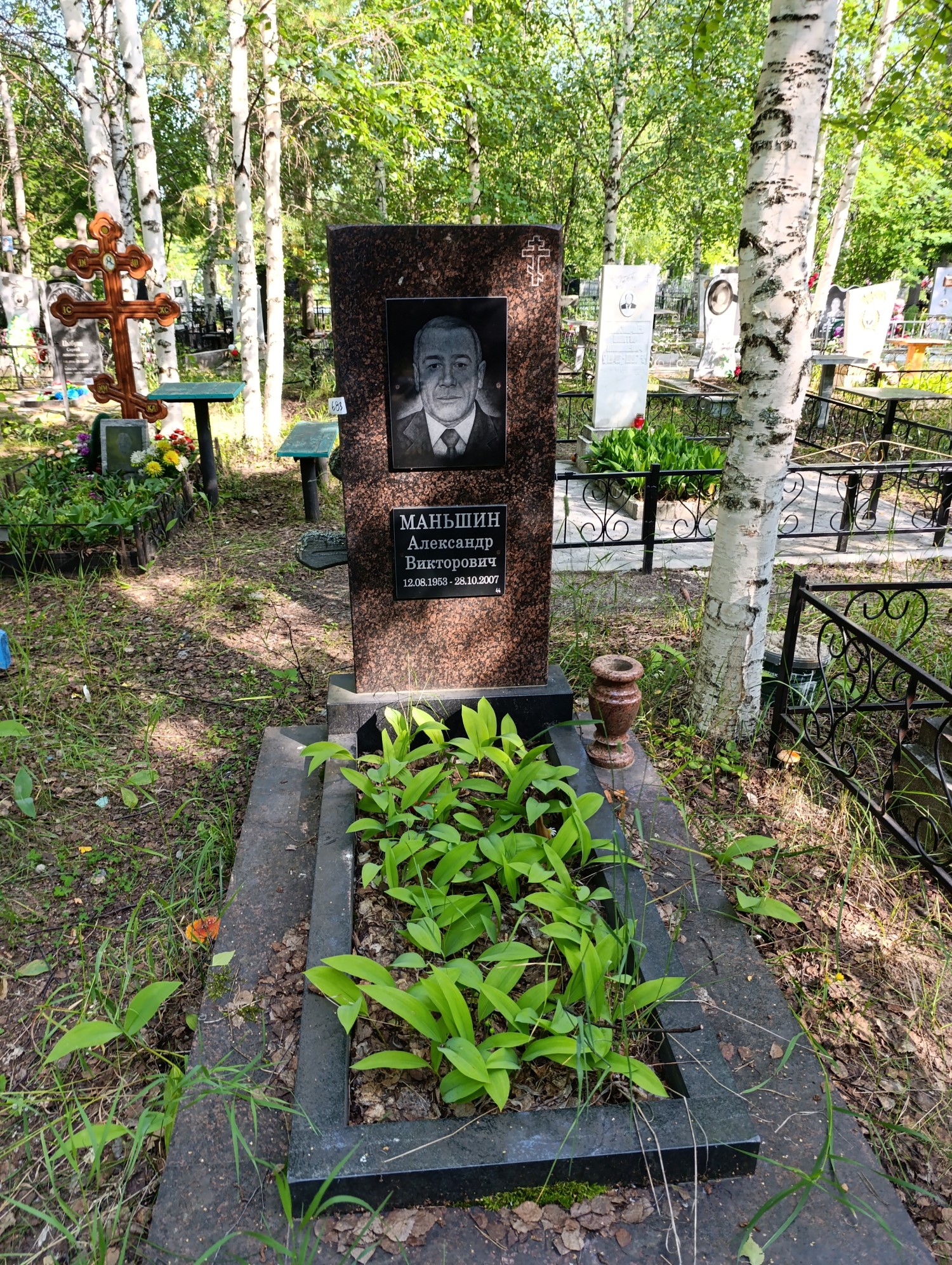 Меньшин Александр Викторович