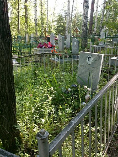 Зарипов Альберт Солтанович