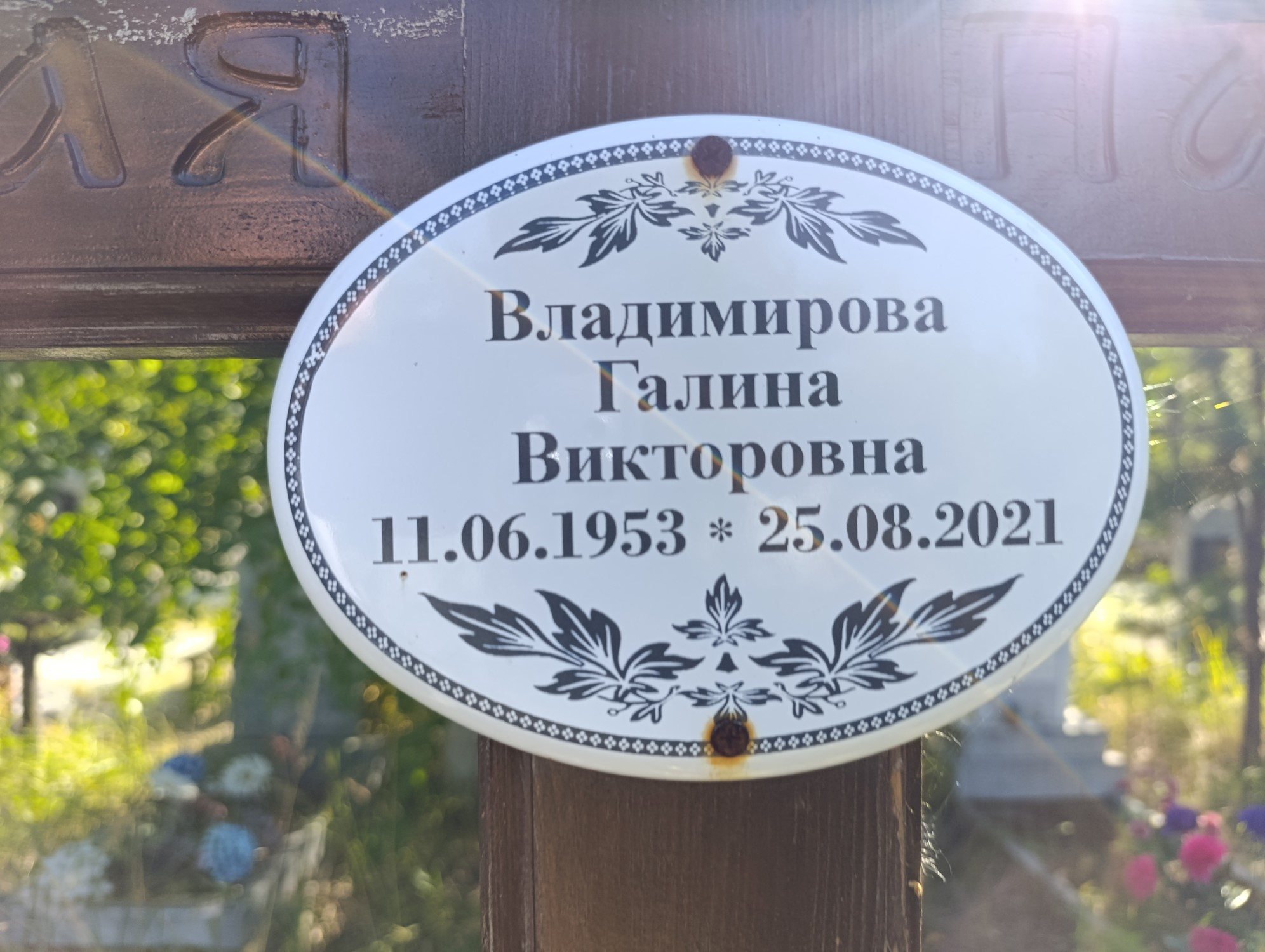 Владимирова Галина Викторовна
