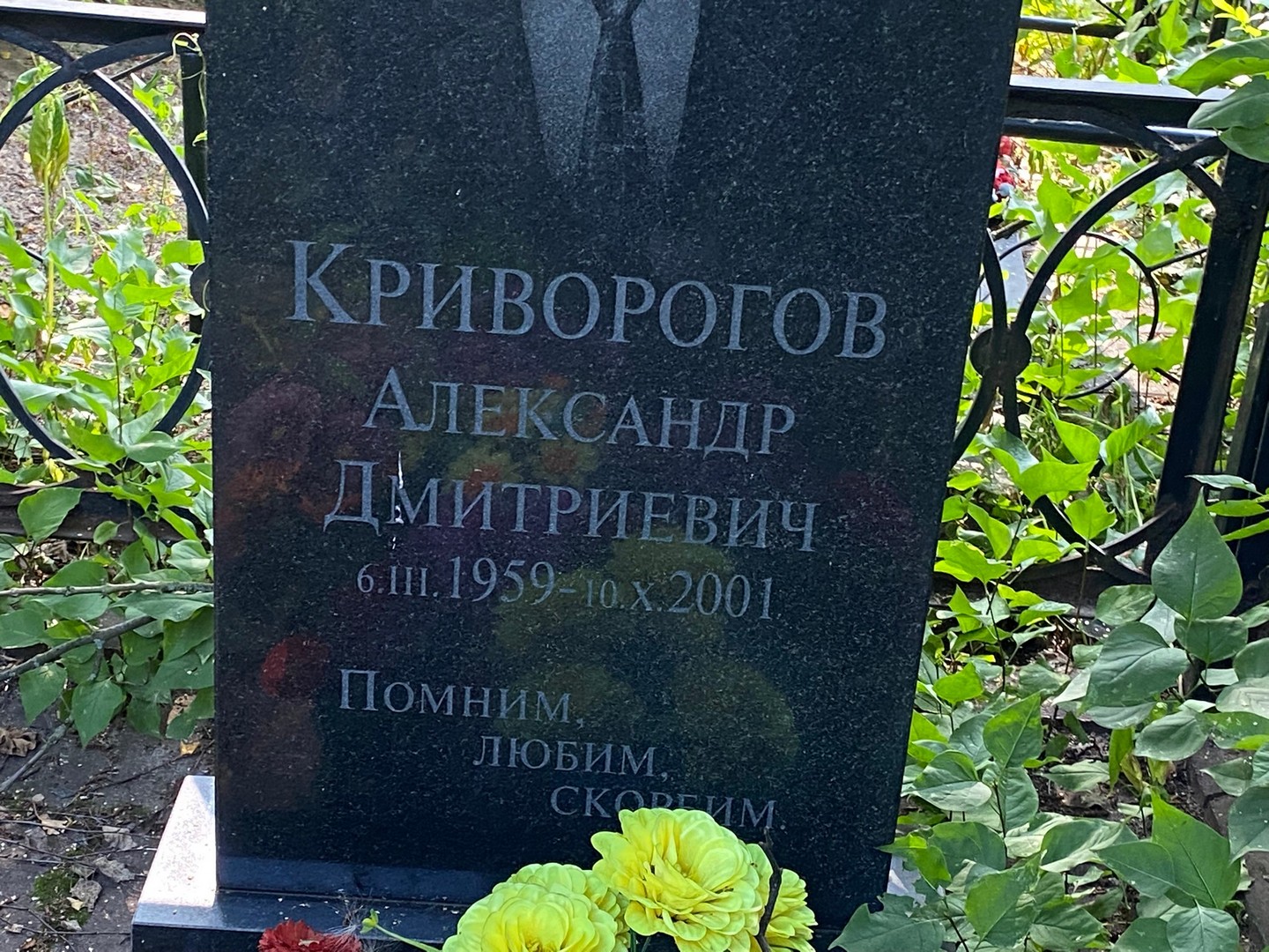Криворогов