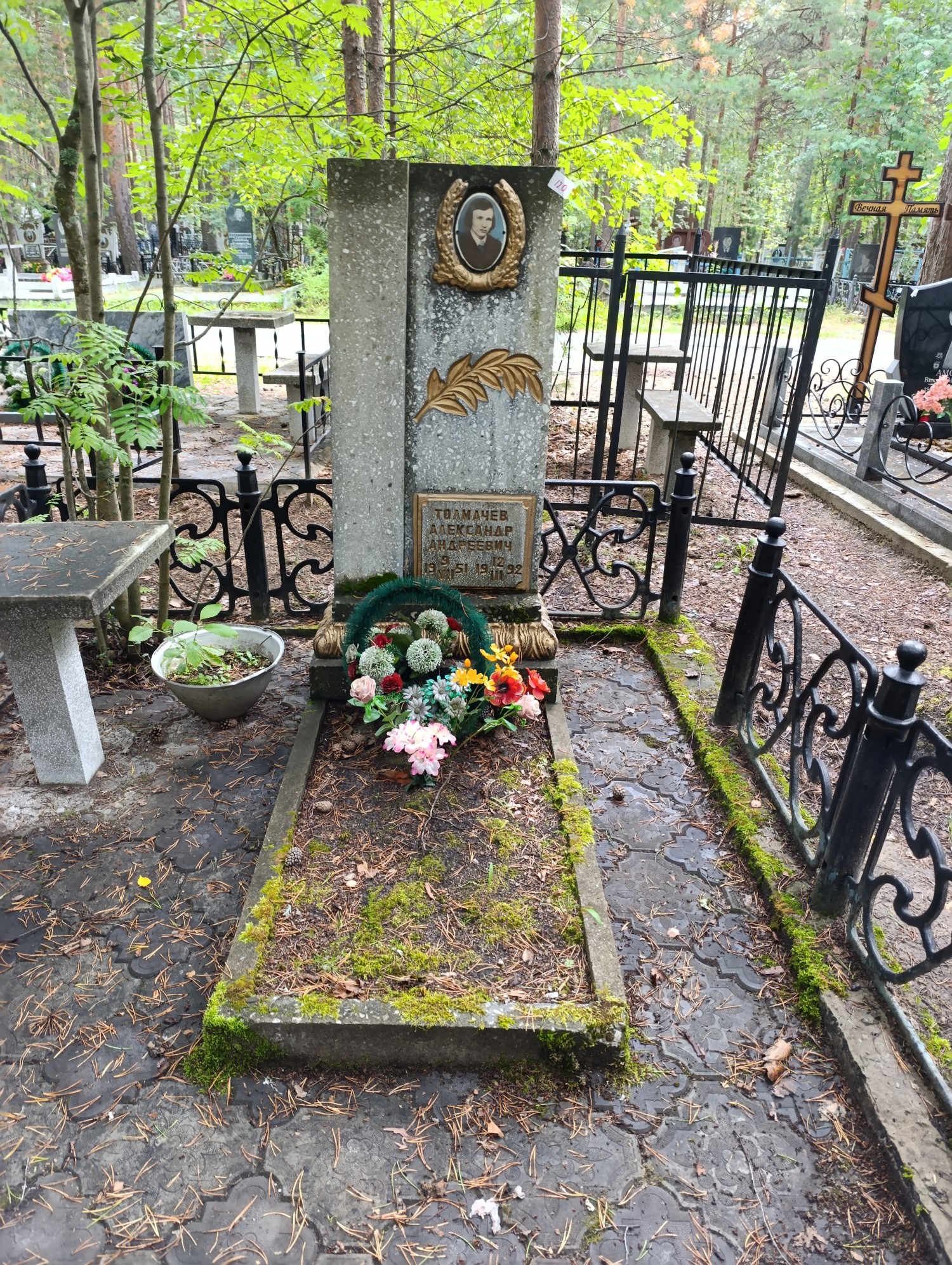 Толмачев Александр Андреевич