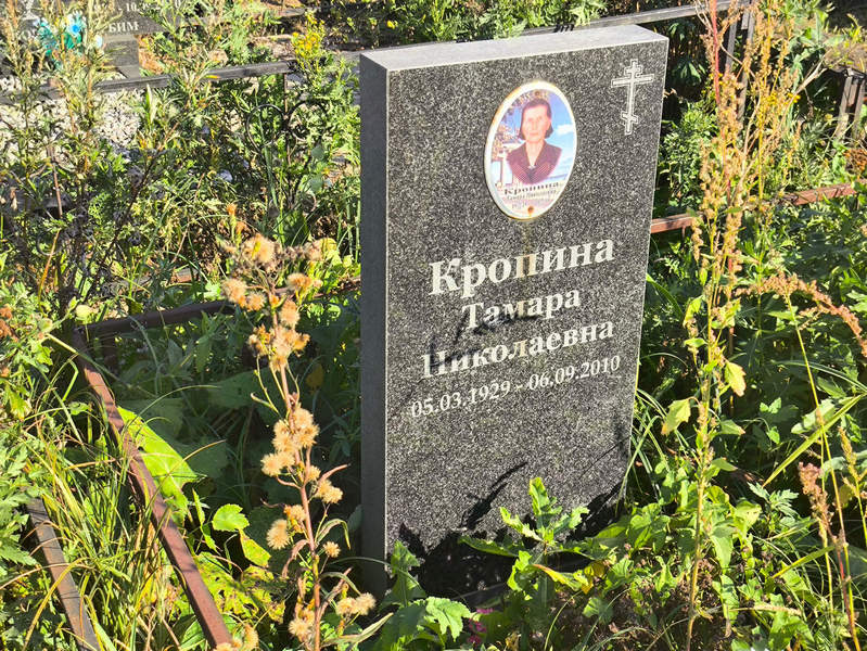 Кропина