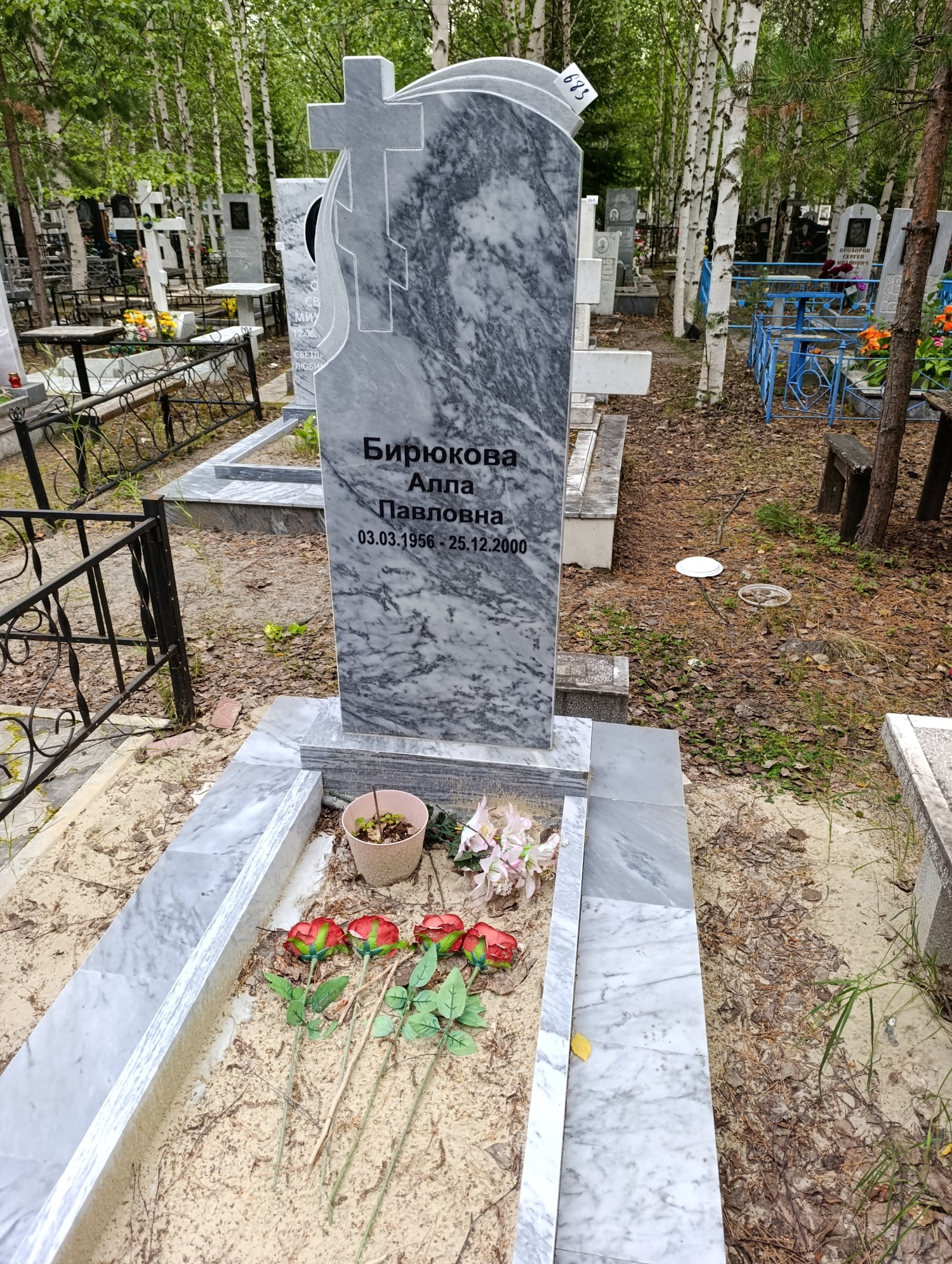 Бирюкова Алла Павловна