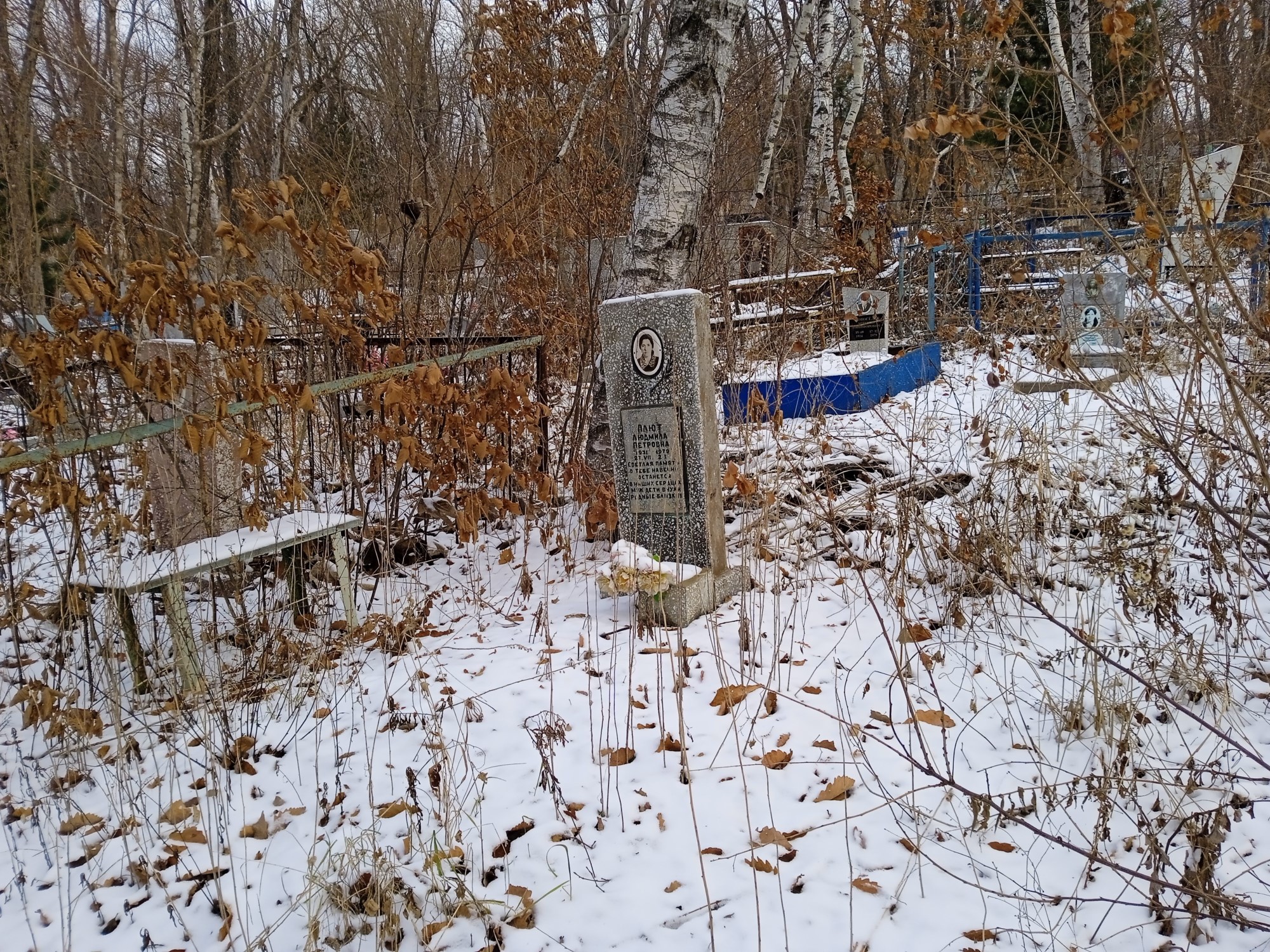 Плют Людмила Петровна