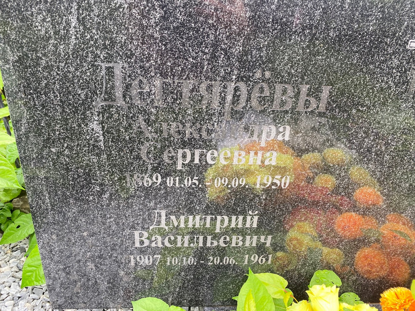 Дегтярева Александра Сергеевна