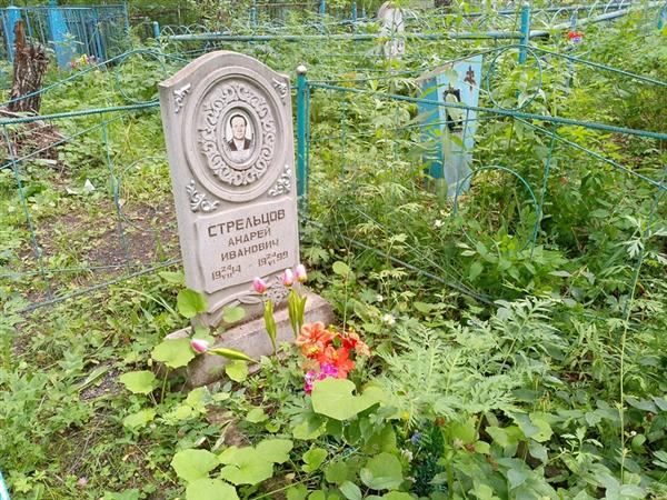 Стрельцов Андрей Иванович