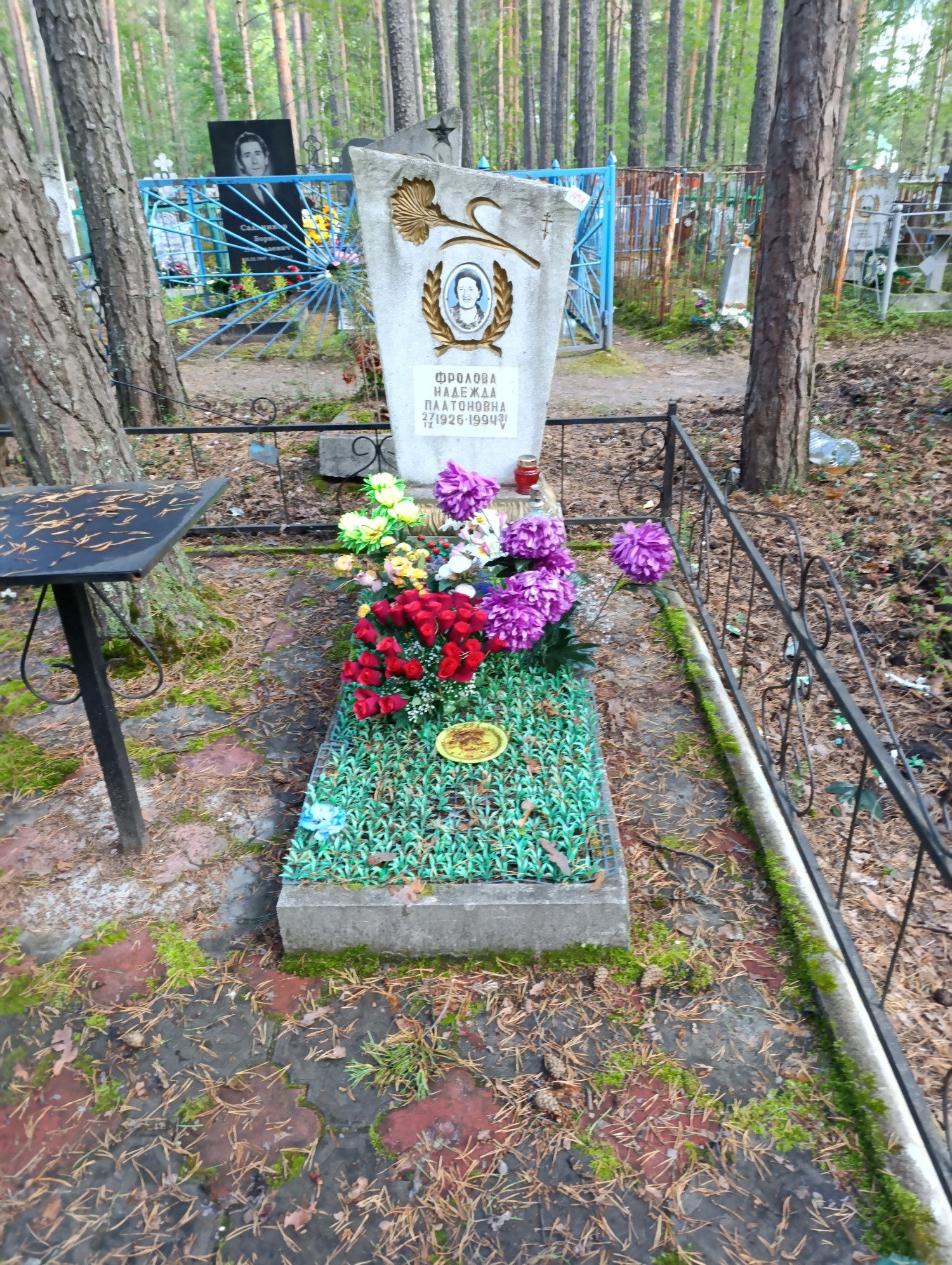 Фролова Надежда Платоновна