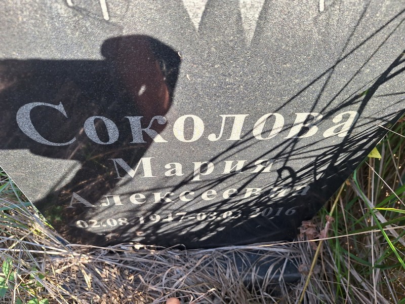 Соколова