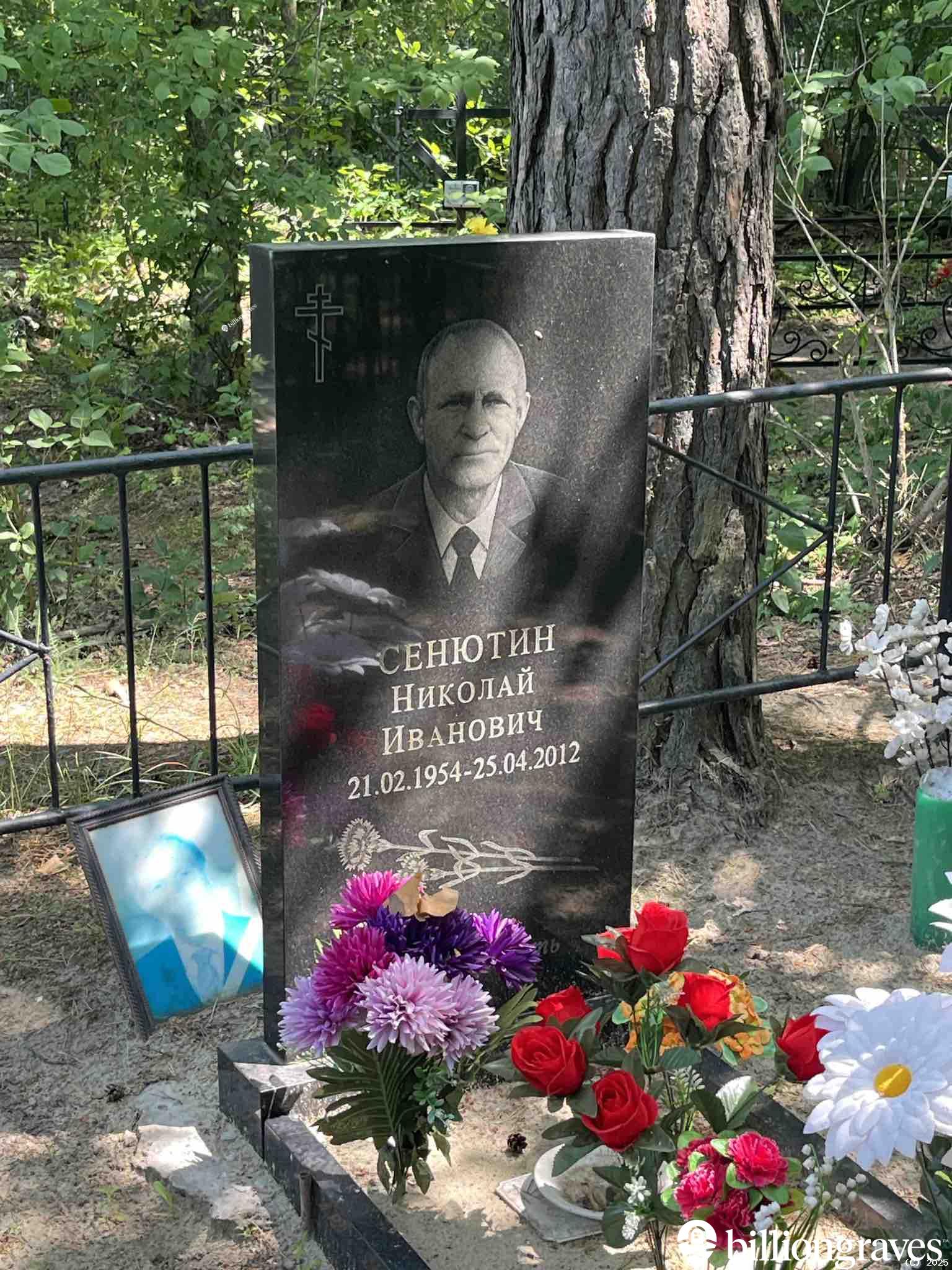 Сенютин Николай Иванович