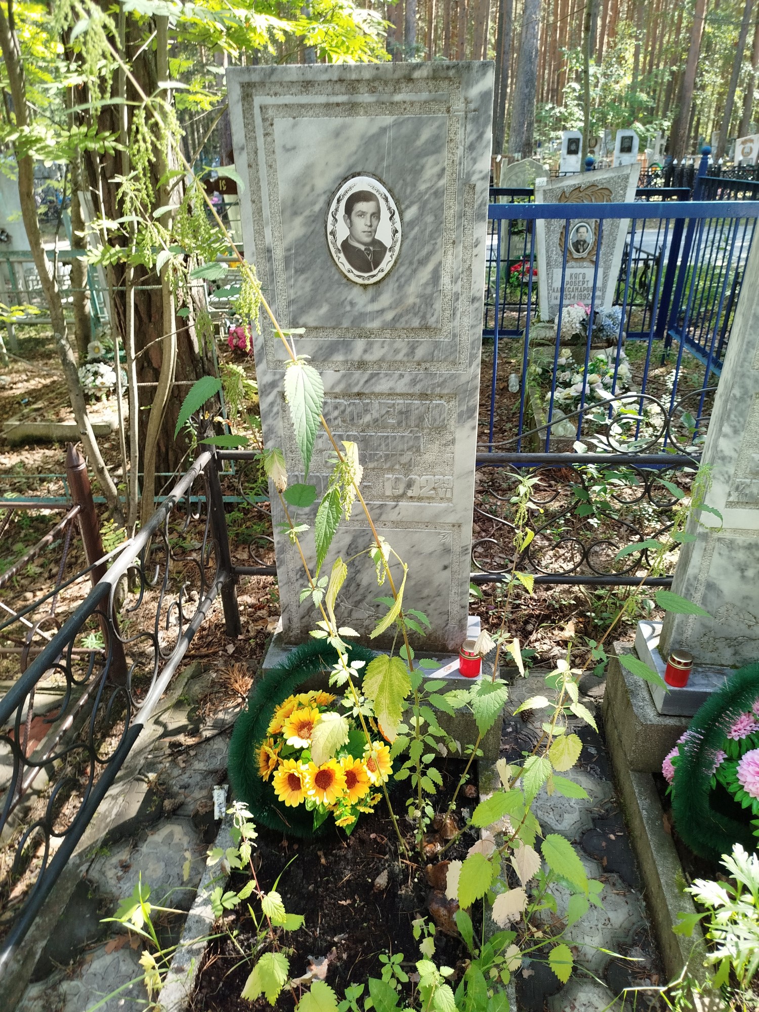 Мироненко Василий Саввич