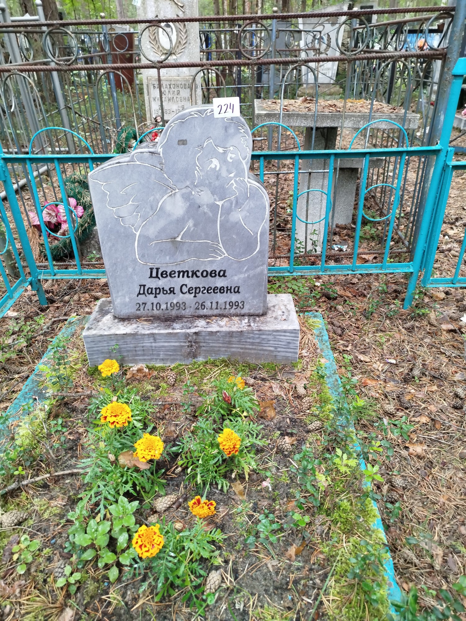 Цветкова Дарья Сергеевна