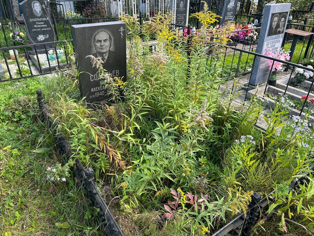 Соловьев Юрий Александрович