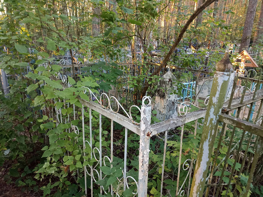 Ливанова Татьяна Петровна