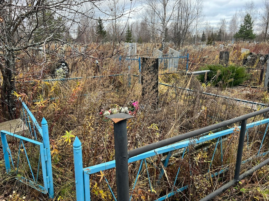 Ронжина Павлина Александровна